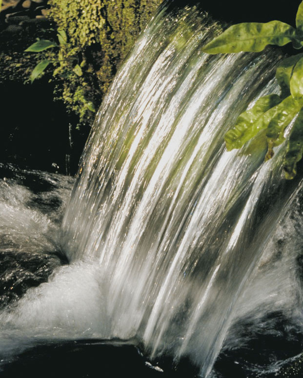 A view of the Tirta Empul spring, the source of the Water Gardens at Begawan Giri Estate.