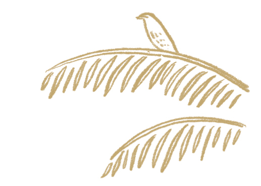 An illustration of a bird perched on a branch, symbolizing the Foundation's commitment to environmental education and conservation.