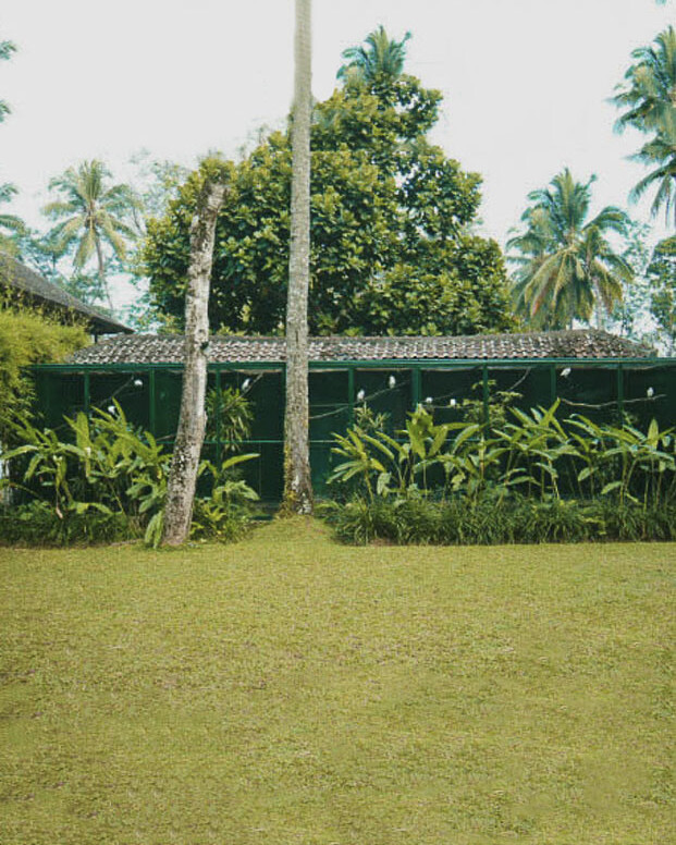 A view of the Begawan Foundation's breeding enclosures for Bali Starlings, designed by a top Indonesian ornithologist.