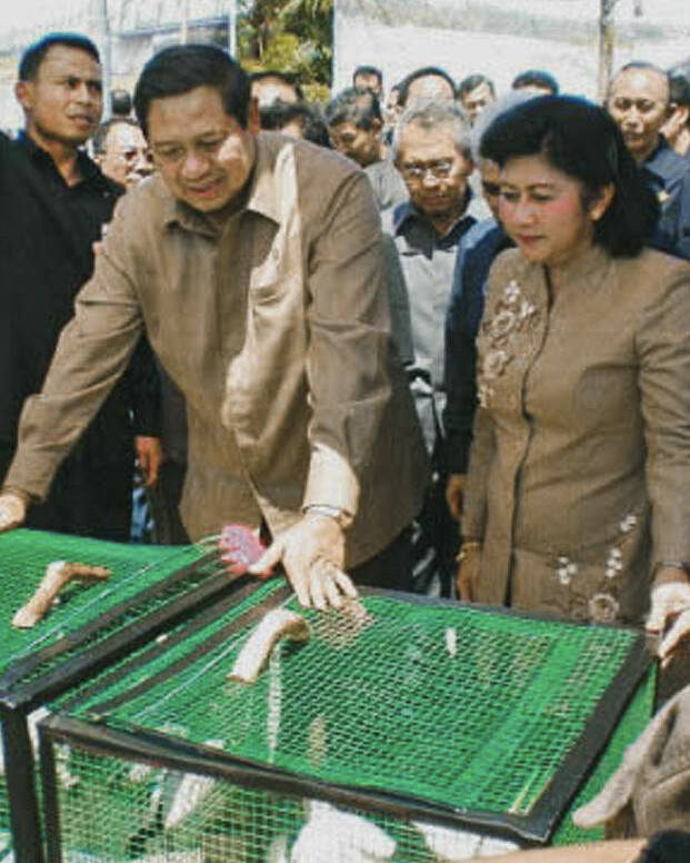 A photo of a Bali Starling release event, with former Indonesian President Susilo Bambang Yudhoyono in attendance.