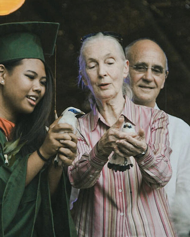 Dr. Jane Goodall, renowned anthropologist, releasing Bali Starlings into the wild at Begawan Foundation's breeding center.