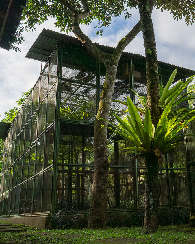 A view of the Begawan Gita breeding center, showcasing the spacious enclosures designed to mimic the natural habitat of Bali Starlings.