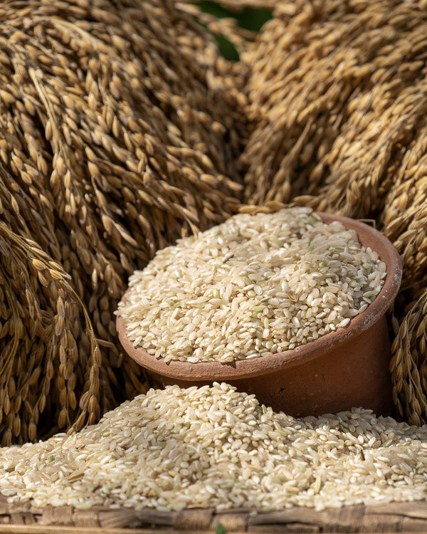 A close-up photo of Mansur rice, highlighting Begawan's efforts to connect farmers with high-end markets.