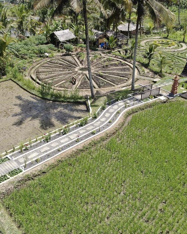 An aerial view of Begawan's permaculture garden, showcasing its commitment to sustainable agriculture and water conservation.