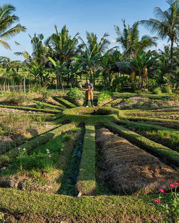 A view of Begawan's permaculture garden, showcasing the source of fresh, organic produce for their farm-to-table restaurant.