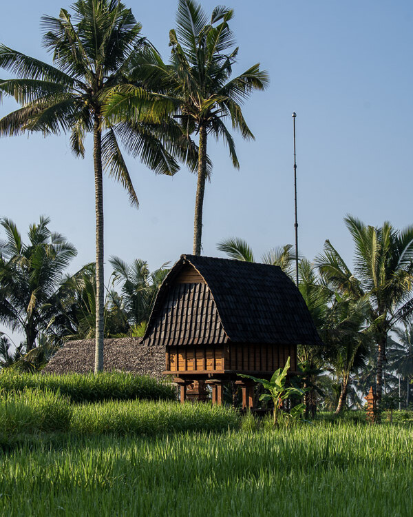 A photo of the Begawan Giri farm, highlighting the beautiful scenery and the positive impact of regenerative farming practices.